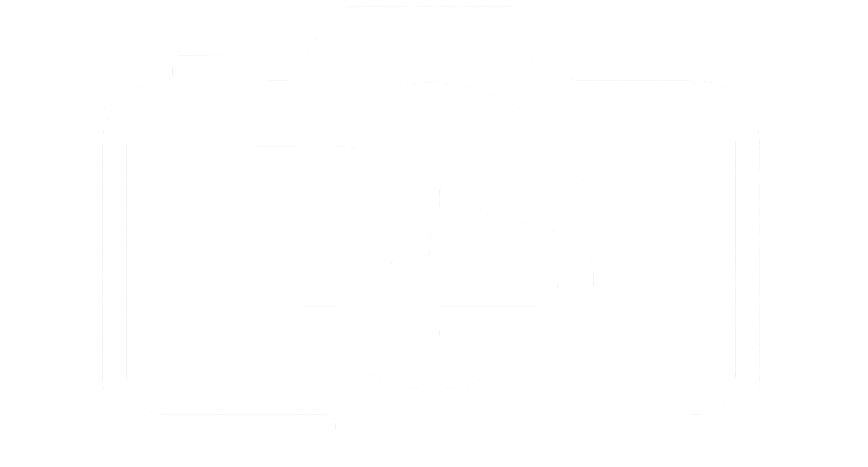 Dizz Studios Logo